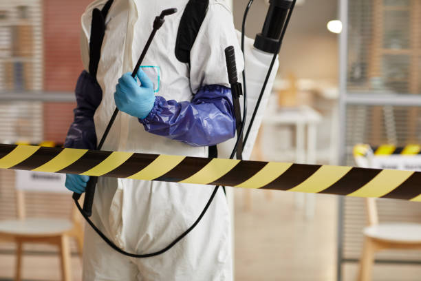 Professional Sewage Cleanup technician working in Glencoe, MN